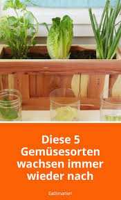 Diese 5 Gemusesorten Wachsen Immer Wieder Nach Nachwachsen Gemuse Garten Und Gemuse Anpflanzen