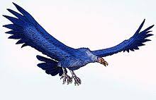 The worlds top 10 birds with the largest wingspan. Argentavis Wikipedia