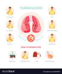 Tuberculosis generally affects the lungs, but can also affect other parts of the body. Symptoms And Ways Of Infection Of Tuberculosis Medical Vector Infographics Poster Download A Free Preview Or High Qu Tuberculosis Medical Knowledge Symptoms