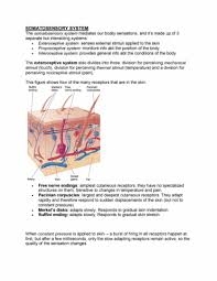 Psy290h1 Textbook Notes Fall 2018 Chapter 7 Anosognosia Secondary Somatosensory Cortex Morphine