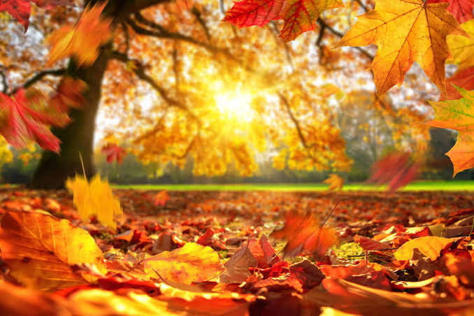 Autumn – The Changing of the Seasons - CompuWeather