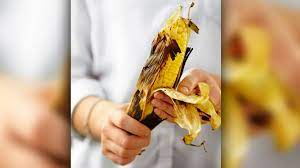 Parentune Health Benefits Side Effects Of Eating Corn During Pregnancy For You Baby