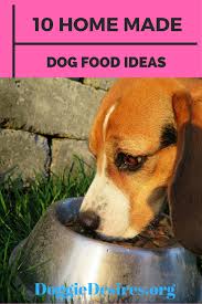 10 Home Made Dog Food Ideas Ev Yapimi Kopek Mamasi Kopek Evcil Hayvanlar