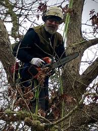 Tree Shrub Pruning, Maintenance & Storm Preparation Services Martha'S  Vineyard, MA