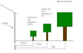 1,50 per gli alberi di non alto fusto (cioè quelli il cui fusto è inferiore a 3 mt. Codice Civile Le Distanze Delle Piante Dai Confini Geometra Torino Studio Caltagirone