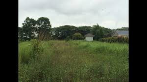 Building on vacant land is not quite as simple as you might think. Leisure Farm 1 Acre Bungalow Land For Sale Iskandar Malaysia Youtube