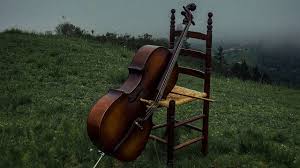 Brother spirit (phap linh) ретвитнул(а) thich nhat hanh foundation. Guided Relaxation With Cello Brother Phap Linh Youtube