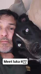 This is sumo, he's 15 and he's loved to bits ❤️