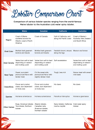 the differences to know between maine canadian lobsters