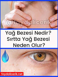 Yag Bezesi Nedir Sirtta Yag Bezesi Neden Olur Yag Saglik Saglik Ipuclari