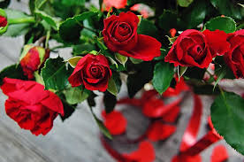 This board allows me to share my finds with you. Rose Valentine S Valentine S Day Romantic Romance Love Nice Wallpaper Flower Flowers Symbol Pikist