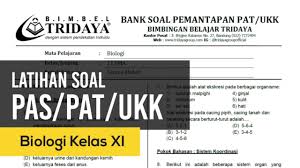 Persiapan penilaian tengah semester (pts). Latihan Soal Pemantapan Pas Pat Ukk Biologi Sma Kelas Xi Semester Ii Youtube