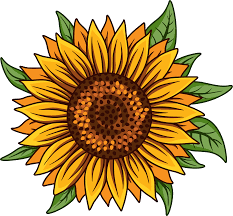 Sunflower Svg Digital Download Sunflower Png White Etsy In 2021 Sunflower Png Sunflower Stencil Sunflower Clipart