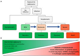 Maybe you would like to learn more about one of these? Frontiers Immune Response Inflammation And The Clinical Spectrum Of Covid 19 Immunology