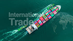 Why Speed Matters: The Impact of Slow Payments on Global Trade - Yogupay