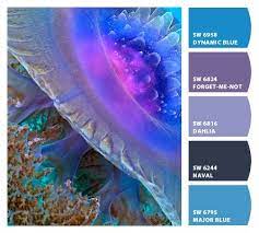 Pin On Paint Schemes I Love