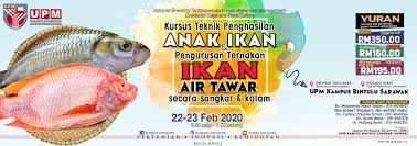 5 jenis ikan termahal yg boleh didapati di malaysia. Kursus Teknik Penghasilan Anak Ikan Dan Pengurusan Ternakan Ikan Air Tawar Secara Sangkar Dan Kolam Universiti Putra Malaysia Bintulu Sarawak Campus