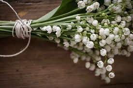 Royal french lily seamless pattern backgrounds. Lily Of The Valley On May Day In France