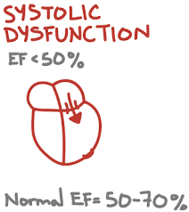 Efficacy outcome measures were change in systolic blood pressure and diastolic blood pressure and achievement of blood pressure control (<140/90 mm hg). Systolic Vs Diastolic Heart Failure Sketchy Medicine