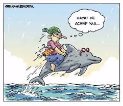 Selcuk Erdem Selcukerdem Selcukerdem Karikatur Mizah Cizgi Komik Penguen Penguendergi Karikatur Mizah Komik