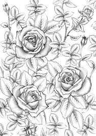 Select from 35478 printable coloring pages of cartoons, animals, nature, bible and many more. Pin On Flowers Coloring Pages