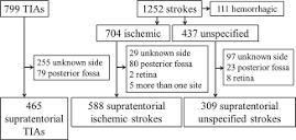 Left-Sided Strokes Are More Often Recognized Than Right-Sided Strokes