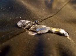 I actually waited a day or two before even trying to tackle just used the hand sanitizer to remove red putty from my couch cushion, however the grease stain is still there, what would you recommend to. The Easiest Way To Get Silly Putty Out Of Any Fabric We Three Shanes