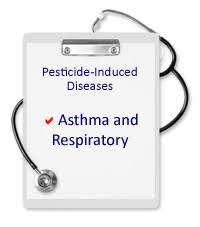 • pesticides are chemical compounds that are used to kill pests, including insects, rodents, fungi and unwanted plants (weeds). Pesticide Induced Diseases Asthma Respiratory Effects Beyond Pesticides