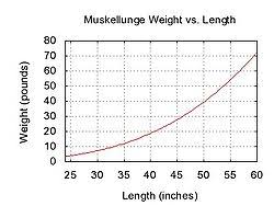 muskellunge wikipedia