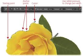 The quick selection tool is somewhat of a newcomer to the photoshop selection tool family. Selecting Irregular Areas Photoshop Cc The Missing Manual 2nd Edition Book