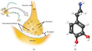 3 1 Formula Mass And The Mole Concept Chemistry