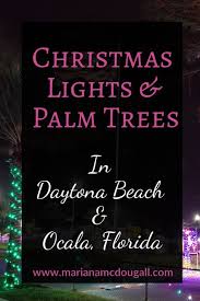 Réserver les meilleurs hôtels à daytona beach sur tripadvisor : Christmas Lights And Palm Trees Family Adventure Travel Florida Activities Florida Travel
