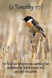 Look At The Birds Of The Air Nlt 2 Timothy 1 7 Nlt Scripture Pictures 2 Timothy 1 7 Scripture Verses