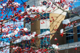 Celebrate the holiday...