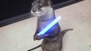 Jedi Otter Otters Cute Cute Baby Dogs Cute Animals