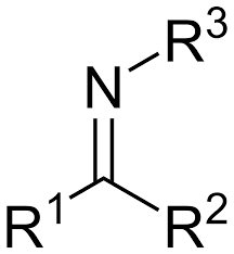 Imīne — imīne, sekundäre amine (imidbasen), die sich vom ammoniak (nh3) dadurch ableiten, daß 2 atome wasserstoff durch ein zweiwertiges alkoholradikal ersetzt sind, z. Imine Wikipedia