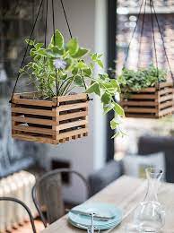 You now have 14 different diy hanging basket options to create new or spiff up your old hanging baskets. Good Reads The House Gardener Sfgirlbybay Hanging Plants Indoor House Plants Decor Diy Hanging Planter