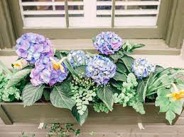 Flower box flowers for fall. Window Box Planter Tips Hgtv
