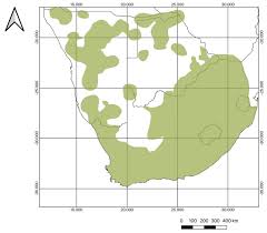 Image result for Equilabium petiolare