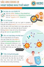 Tuy nhiên số liệu không cung cấp chi tiết tỉ lệ. Tim Hiá»ƒu Vá» Cac Loáº¡i Váº¯c Xin Phong Covid 19 Ä'Æ°á»£c Phe Duyá»‡t Táº¡i Viá»‡t Nam