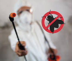 We offer pest control and pest proofing services in edinburgh and lothians. Council Cleans Up On Pest Control Lbbd