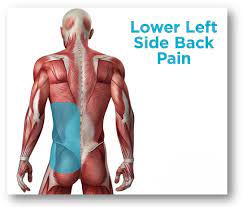 But what does it mean when. Pain In Lower Back On Left Side