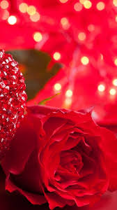 Wallpaper Rose 5k 4k Wallpaper Heart Valentine S Day Love Romance Red Romantic Nature 83 Rose Flower Wallpaper Hd Flower Wallpaper Flower Backgrounds
