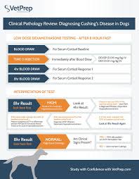 An Infographic On The Clinical Pathology Review With Diagnosing Cushing S Disease In Dogs Using The Low Dose Dexa Vet Tech Student Vet Medicine Vet Tech School