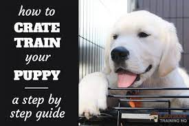 You need to teach your puppy to remain inside the crate for longer periods by gradually increasing the time that the door remains closed (10 seconds, 15 seconds, 35 seconds, 1 minute, 3 minutes, 5 minutes and so on). How To Crate Train A Puppy Day Night Even If You Work 2021