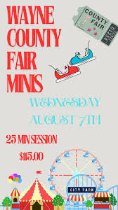 Document your fun at the fair...