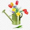 Im frühling gibt es im garten viel zu tun. Https Encrypted Tbn0 Gstatic Com Images Q Tbn And9gcrsywizqt7fbrcraxcmgsf5hkgrmciyxjy3hduatluyvwos3r 8 Usqp Cau