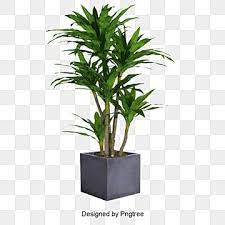 Plant Gardening Pot Png Transparent Clipart Image And Psd File For Free Download Plants Painted Plant Pots Plant Background