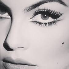 taylor evanoff (taylor_evanoff)