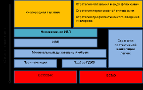 Экстракорпоральная мембранная оксигенация — инвазивный экстракорпоральный метод насыщения крови кислородом (оксигенации). Https Vmeda Mil Ru Upload Site56 Document File Cvnstapwx6 Pdf